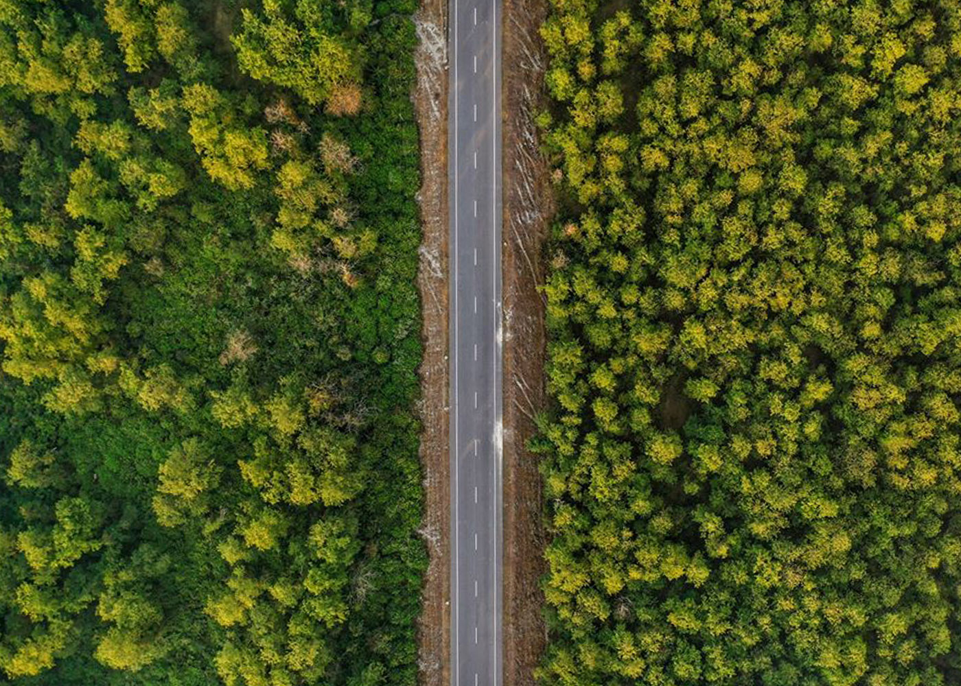 5 Road from Namsai to Dibrugarh