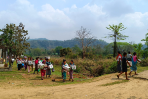 Villagers carrying clean cookstoves to their households