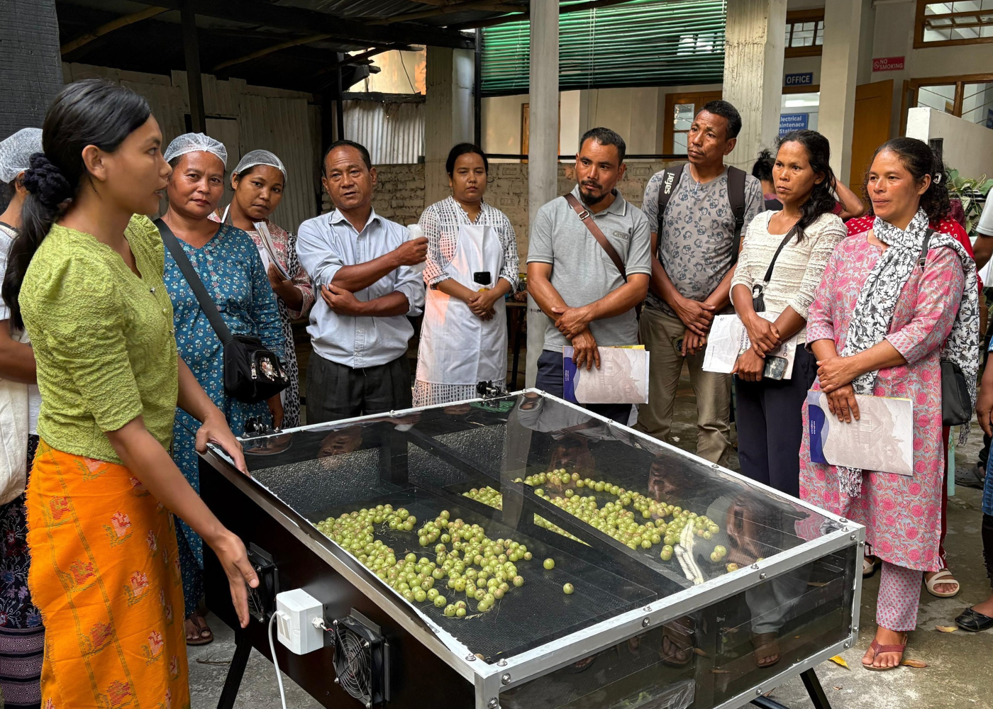 Entrepreneurs building livelihoods through market access